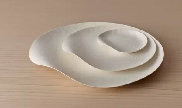一次性餐具竟然美得像藝術品?。?）.png